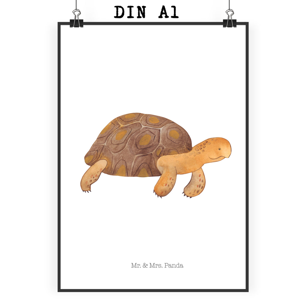 Poster Schildkröte marschiert Poster, Wandposter, Bild, Wanddeko, Küchenposter, Kinderposter, Wanddeko Bild, Raumdekoration, Wanddekoration, Handgemaltes Poster, Mr. & Mrs. Panda Poster, Designposter, Kunstdruck, Posterdruck, Meerestiere, Meer, Urlaub, Schildkröte, Schildkröten, get lost, Abenteuer, Reiselust, Inspiration, Neustart, Motivation, Lieblingsmensch