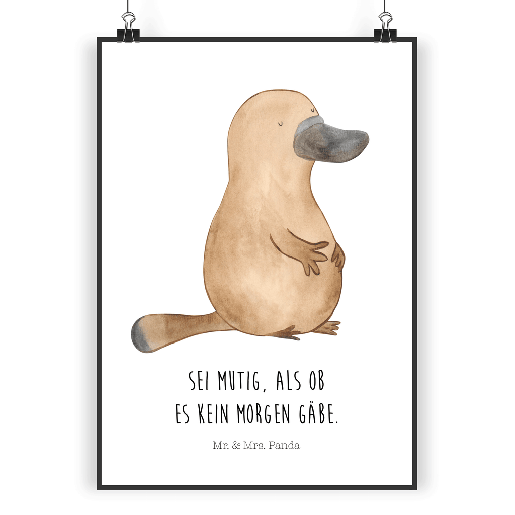 Poster Schnabeltier mutig Poster, Wandposter, Bild, Wanddeko, Küchenposter, Kinderposter, Wanddeko Bild, Raumdekoration, Wanddekoration, Handgemaltes Poster, Mr. & Mrs. Panda Poster, Designposter, Kunstdruck, Posterdruck, Meerestiere, Meer, Urlaub, Schnabeltier, Mut, mutig, Lebensweisheit, Schnabeltiere, Motivation, Training, Büro, Arbeit, Neuanfang, Neustart, Weltreise, Raodtrip