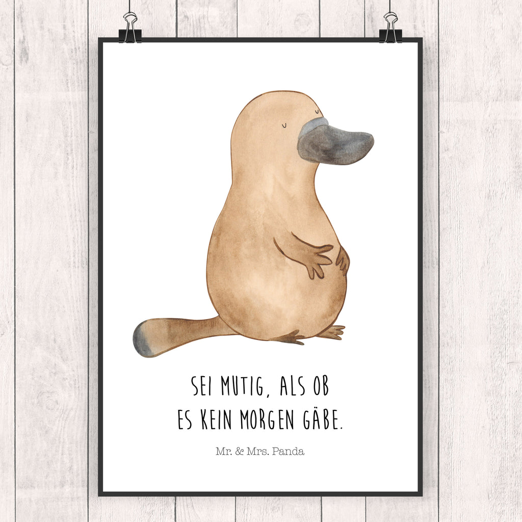 Poster Schnabeltier mutig Poster, Wandposter, Bild, Wanddeko, Küchenposter, Kinderposter, Wanddeko Bild, Raumdekoration, Wanddekoration, Handgemaltes Poster, Mr. & Mrs. Panda Poster, Designposter, Kunstdruck, Posterdruck, Meerestiere, Meer, Urlaub, Schnabeltier, Mut, mutig, Lebensweisheit, Schnabeltiere, Motivation, Training, Büro, Arbeit, Neuanfang, Neustart, Weltreise, Raodtrip