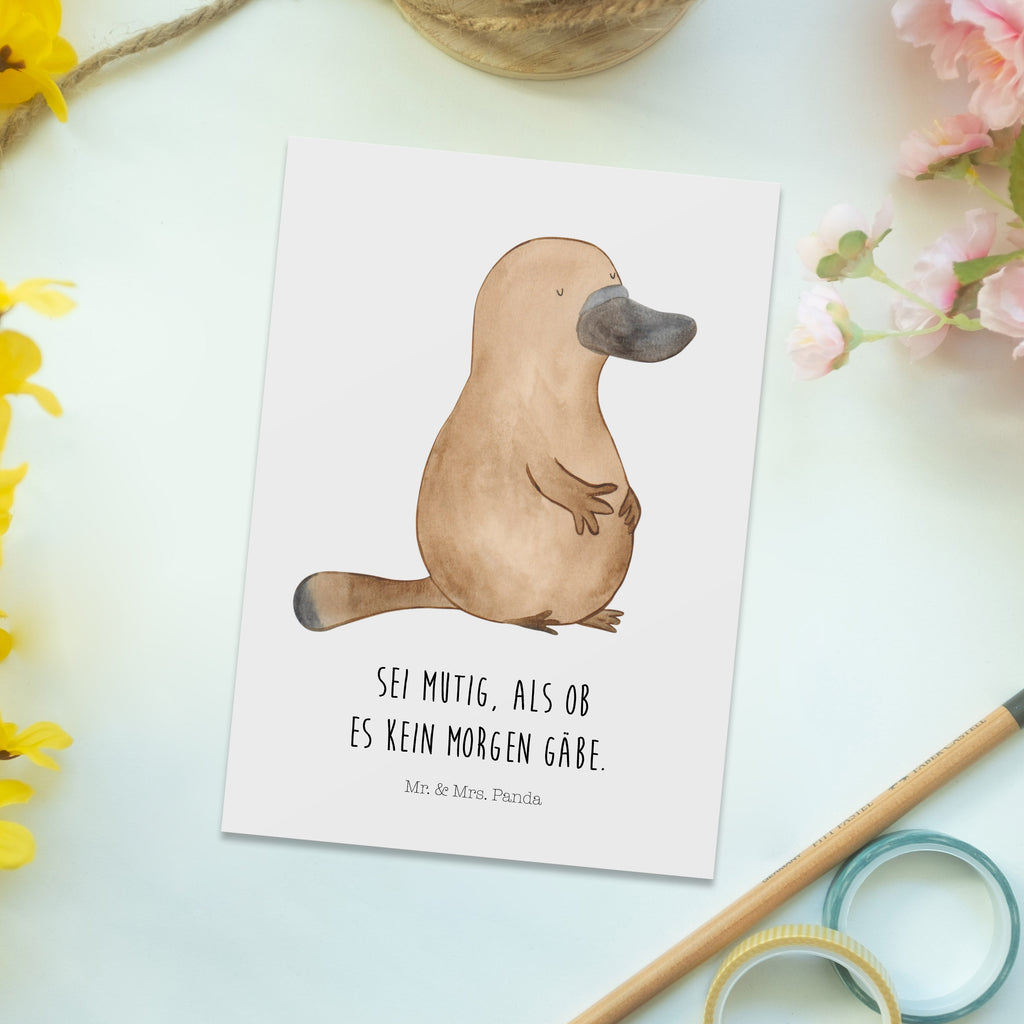 Postkarte Schnabeltier mutig Geschenkkarte, Grußkarte, Karte, Einladung, Ansichtskarte, Geburtstagskarte, Einladungskarte, Dankeskarte, Meerestiere, Meer, Urlaub, Schnabeltier, Mut, mutig, Lebensweisheit, Schnabeltiere, Motivation, Training, Büro, Arbeit, Neuanfang, Neustart, Weltreise, Raodtrip