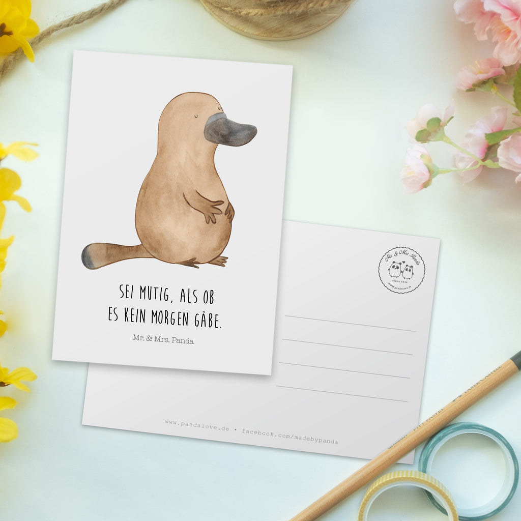 Postkarte Schnabeltier mutig Geschenkkarte, Grußkarte, Karte, Einladung, Ansichtskarte, Geburtstagskarte, Einladungskarte, Dankeskarte, Meerestiere, Meer, Urlaub, Schnabeltier, Mut, mutig, Lebensweisheit, Schnabeltiere, Motivation, Training, Büro, Arbeit, Neuanfang, Neustart, Weltreise, Raodtrip
