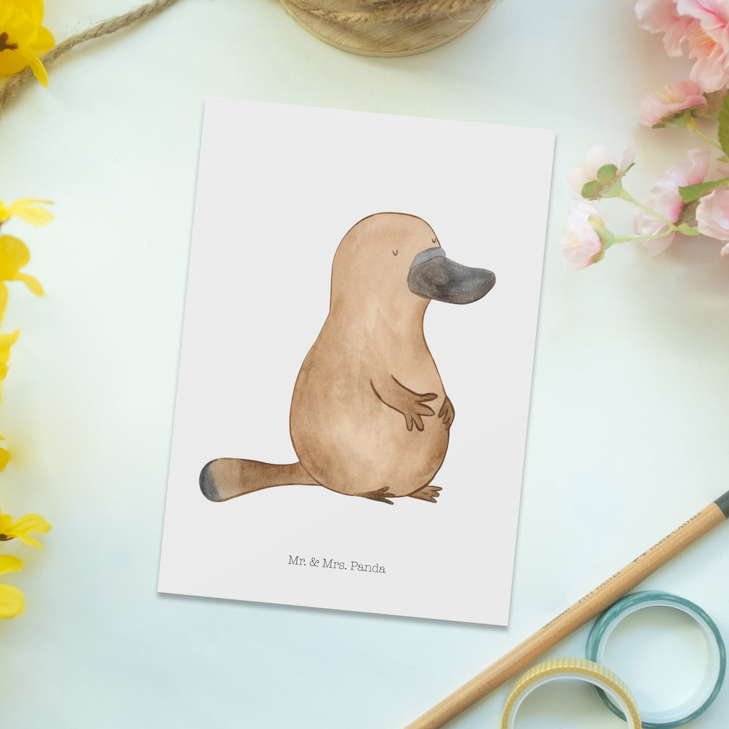 Postkarte Schnabeltier mutig Geschenkkarte, Grußkarte, Karte, Einladung, Ansichtskarte, Geburtstagskarte, Einladungskarte, Dankeskarte, Meerestiere, Meer, Urlaub, Schnabeltier, Mut, mutig, Lebensweisheit, Schnabeltiere, Motivation, Training, Büro, Arbeit, Neuanfang, Neustart, Weltreise, Raodtrip