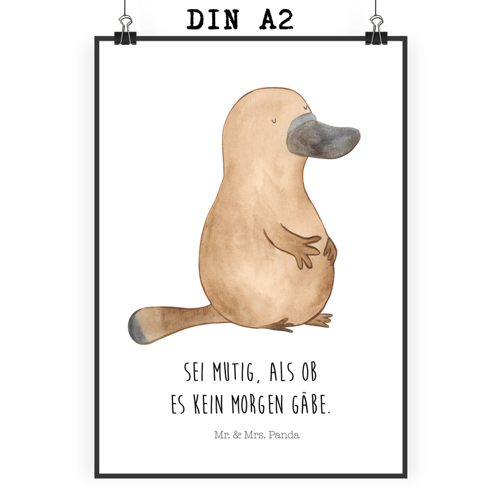 Poster Schnabeltier mutig Poster, Wandposter, Bild, Wanddeko, Küchenposter, Kinderposter, Wanddeko Bild, Raumdekoration, Wanddekoration, Handgemaltes Poster, Mr. & Mrs. Panda Poster, Designposter, Kunstdruck, Posterdruck, Meerestiere, Meer, Urlaub, Schnabeltier, Mut, mutig, Lebensweisheit, Schnabeltiere, Motivation, Training, Büro, Arbeit, Neuanfang, Neustart, Weltreise, Raodtrip