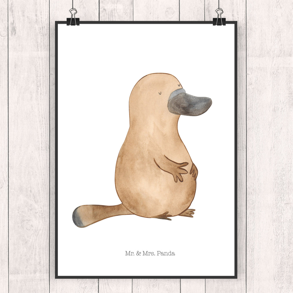 Poster Schnabeltier mutig Poster, Wandposter, Bild, Wanddeko, Küchenposter, Kinderposter, Wanddeko Bild, Raumdekoration, Wanddekoration, Handgemaltes Poster, Mr. & Mrs. Panda Poster, Designposter, Kunstdruck, Posterdruck, Meerestiere, Meer, Urlaub, Schnabeltier, Mut, mutig, Lebensweisheit, Schnabeltiere, Motivation, Training, Büro, Arbeit, Neuanfang, Neustart, Weltreise, Raodtrip