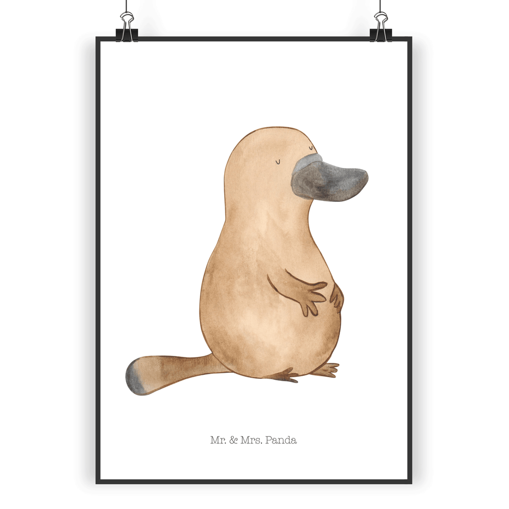 Poster Schnabeltier mutig Poster, Wandposter, Bild, Wanddeko, Küchenposter, Kinderposter, Wanddeko Bild, Raumdekoration, Wanddekoration, Handgemaltes Poster, Mr. & Mrs. Panda Poster, Designposter, Kunstdruck, Posterdruck, Meerestiere, Meer, Urlaub, Schnabeltier, Mut, mutig, Lebensweisheit, Schnabeltiere, Motivation, Training, Büro, Arbeit, Neuanfang, Neustart, Weltreise, Raodtrip