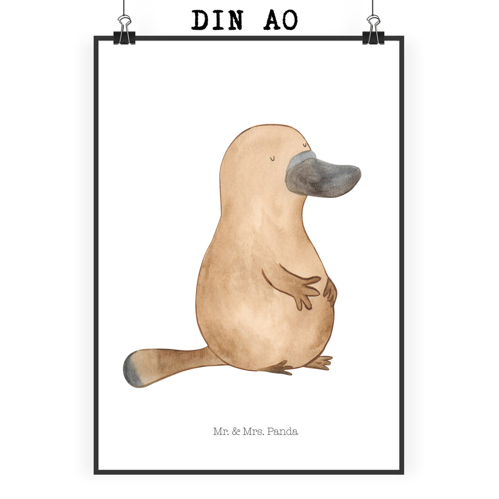 Poster Schnabeltier mutig Poster, Wandposter, Bild, Wanddeko, Küchenposter, Kinderposter, Wanddeko Bild, Raumdekoration, Wanddekoration, Handgemaltes Poster, Mr. & Mrs. Panda Poster, Designposter, Kunstdruck, Posterdruck, Meerestiere, Meer, Urlaub, Schnabeltier, Mut, mutig, Lebensweisheit, Schnabeltiere, Motivation, Training, Büro, Arbeit, Neuanfang, Neustart, Weltreise, Raodtrip