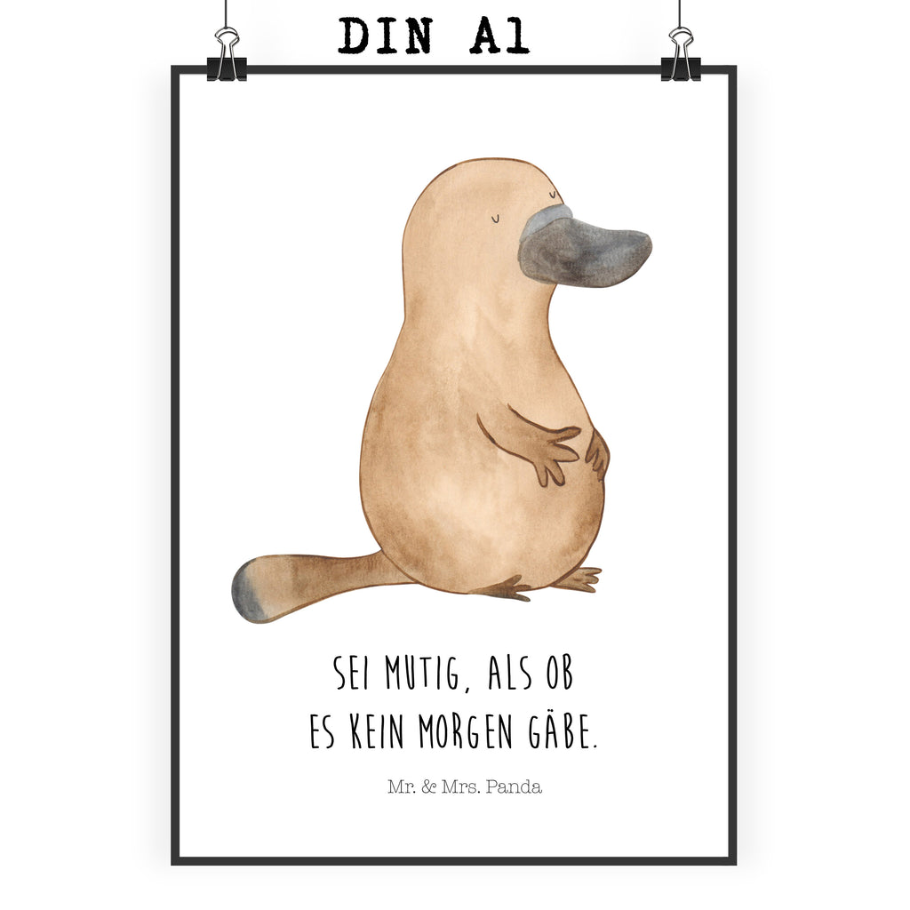 Poster Schnabeltier mutig Poster, Wandposter, Bild, Wanddeko, Küchenposter, Kinderposter, Wanddeko Bild, Raumdekoration, Wanddekoration, Handgemaltes Poster, Mr. & Mrs. Panda Poster, Designposter, Kunstdruck, Posterdruck, Meerestiere, Meer, Urlaub, Schnabeltier, Mut, mutig, Lebensweisheit, Schnabeltiere, Motivation, Training, Büro, Arbeit, Neuanfang, Neustart, Weltreise, Raodtrip