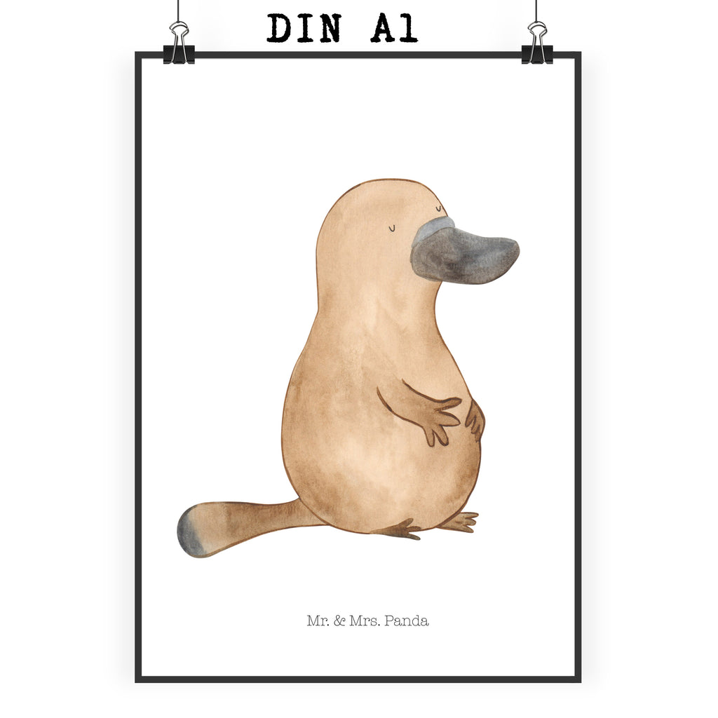 Poster Schnabeltier mutig Poster, Wandposter, Bild, Wanddeko, Küchenposter, Kinderposter, Wanddeko Bild, Raumdekoration, Wanddekoration, Handgemaltes Poster, Mr. & Mrs. Panda Poster, Designposter, Kunstdruck, Posterdruck, Meerestiere, Meer, Urlaub, Schnabeltier, Mut, mutig, Lebensweisheit, Schnabeltiere, Motivation, Training, Büro, Arbeit, Neuanfang, Neustart, Weltreise, Raodtrip