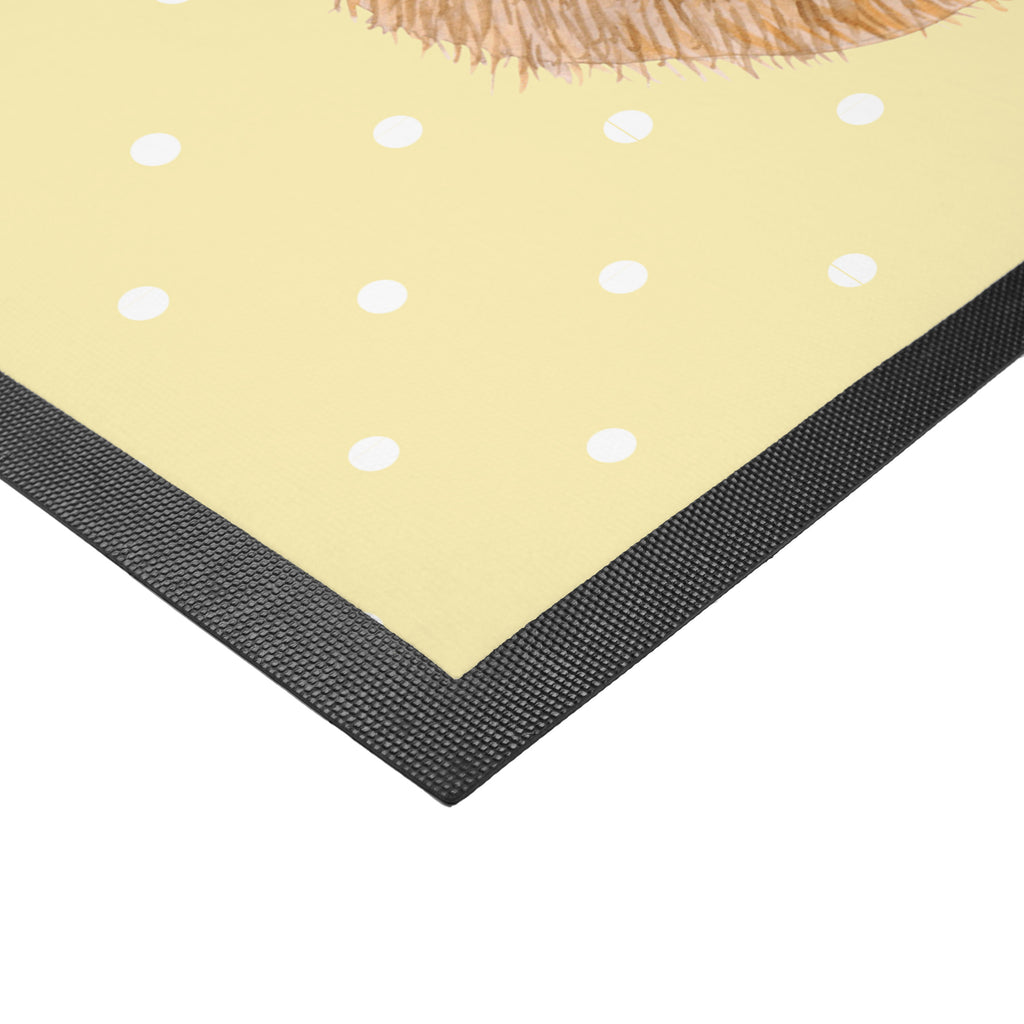 Fußmatte Igel betet Igel, Igel mit Hut, Sonnenhut, Gott, Amen, beten, Leben, Dankbarkeit, Dankbar sein, dankbar, genießen Türvorleger, Schmutzmatte, Fußabtreter, Matte, Schmutzfänger, Fußabstreifer, Schmutzfangmatte, Türmatte, Motivfußmatte,  Haustürmatte, Vorleger  süße Tiermotive, gute Laune, lustige Sprüche, Tiere