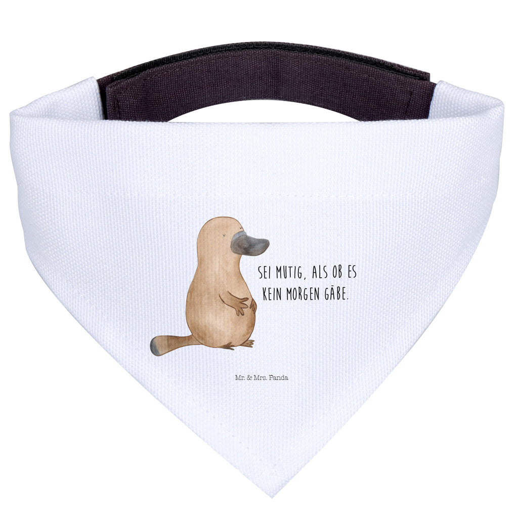 Hundehalstuch S Schnabeltier mutig Hundehalstuch, Halstuch, Hunde, Tuch, klein, kleine Hunde, Meerestiere, Meer, Urlaub, Schnabeltier, Mut, mutig, Lebensweisheit, Schnabeltiere, Motivation, Training, Büro, Arbeit, Neuanfang, Neustart, Weltreise, Raodtrip