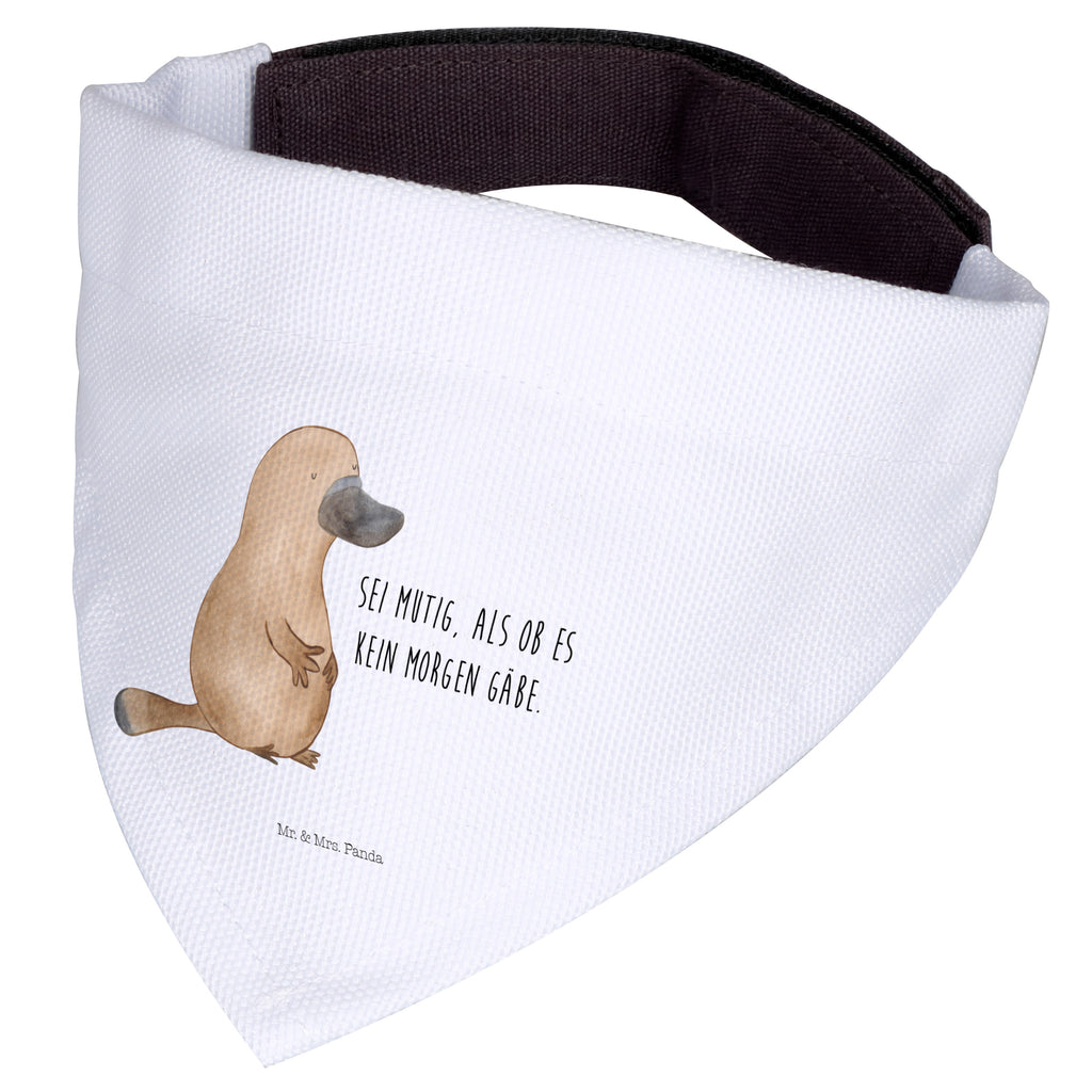 Hundehalstuch S Schnabeltier mutig Hundehalstuch, Halstuch, Hunde, Tuch, klein, kleine Hunde, Meerestiere, Meer, Urlaub, Schnabeltier, Mut, mutig, Lebensweisheit, Schnabeltiere, Motivation, Training, Büro, Arbeit, Neuanfang, Neustart, Weltreise, Raodtrip