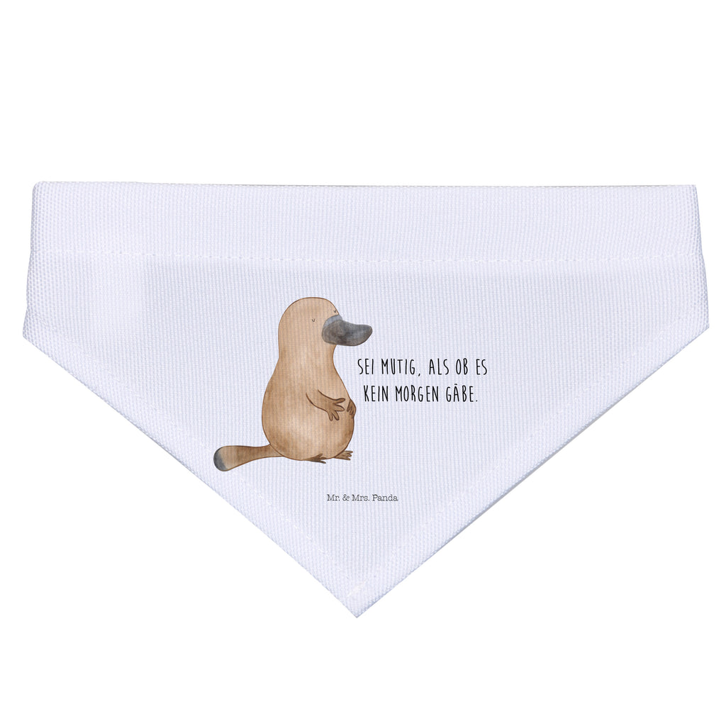 Hundehalstuch S Schnabeltier mutig Hundehalstuch, Halstuch, Hunde, Tuch, klein, kleine Hunde, Meerestiere, Meer, Urlaub, Schnabeltier, Mut, mutig, Lebensweisheit, Schnabeltiere, Motivation, Training, Büro, Arbeit, Neuanfang, Neustart, Weltreise, Raodtrip