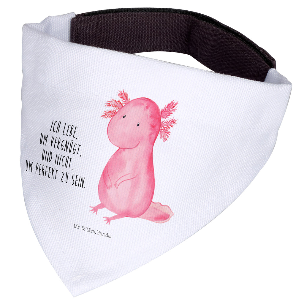 Hundehalstuch L Axolotl Hundehalstuch, Halstuch, Hunde, Tuch, groß, große Hunde, Axolotl, Molch, Axolot, vergnügt, fröhlich, zufrieden, Lebensstil, Weisheit, Lebensweisheit, Liebe, Freundin