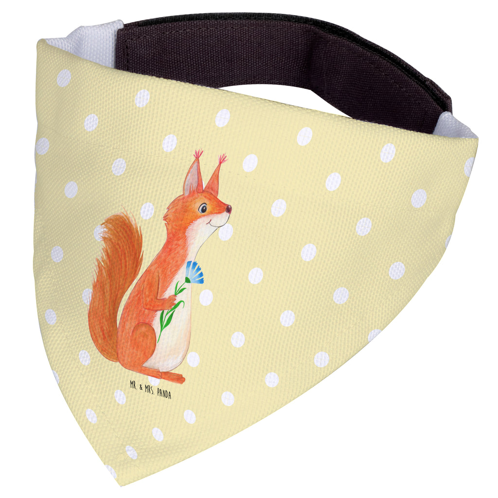Hundehalstuch L Eichhörnchen Blume Hundehalstuch, Halstuch, Hunde, Tuch, groß, große Hunde, Tiermotive, Gute Laune, lustige Sprüche, Tiere, Eichhörnchen, Eichhorn, Spruch positiv, Lachen, Spaß, Motivation Sprüche, Motivation Bilder, glücklich Spruch, Spruch Deko