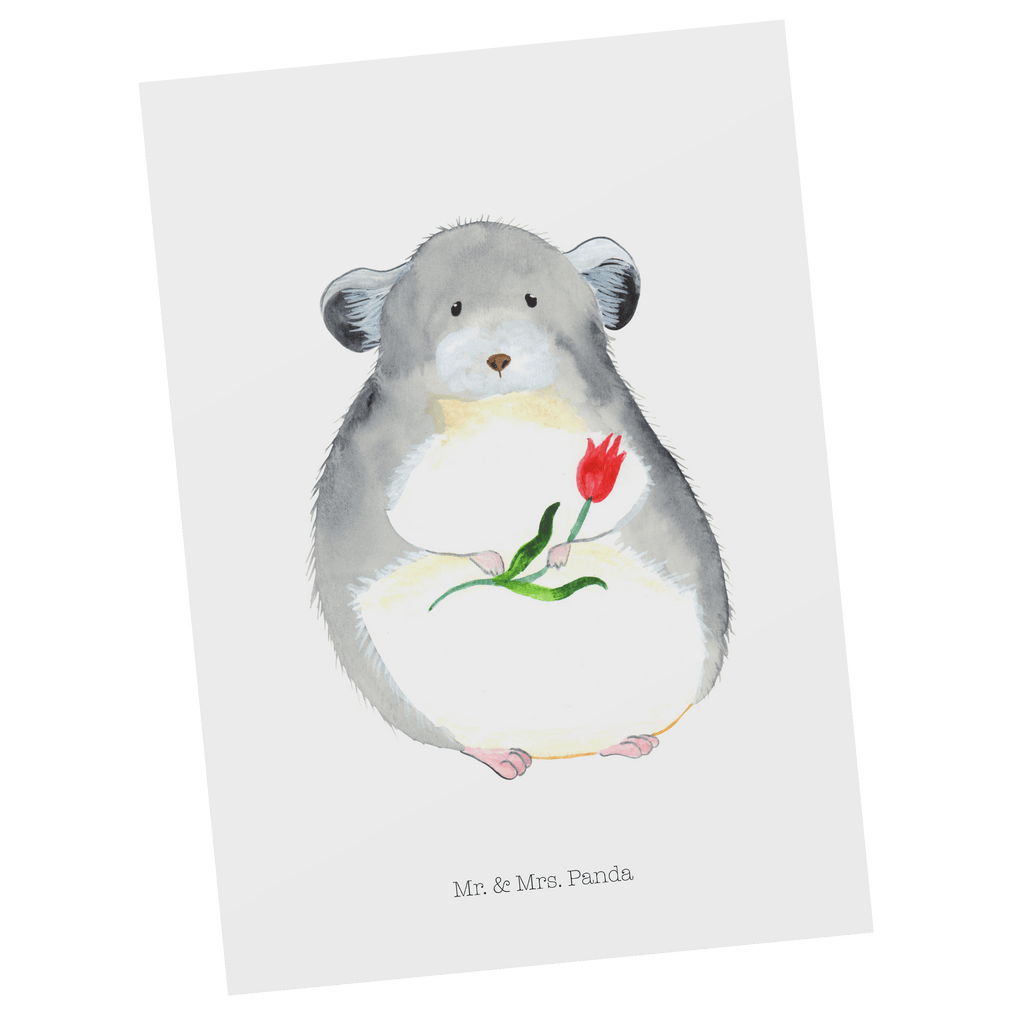 Postkarte Chinchilla mit Blume Geschenkkarte, Grußkarte, Karte, Einladung, Ansichtskarte, Geburtstagskarte, Einladungskarte, Dankeskarte, Tiermotive, Gute Laune, lustige Sprüche, Tiere, Chinchilla, Chinchillas, Liebeskummer, Kummer, Depressionen, traurig sein, Chaos, Glücklichsein, Büro, Büroalltag
