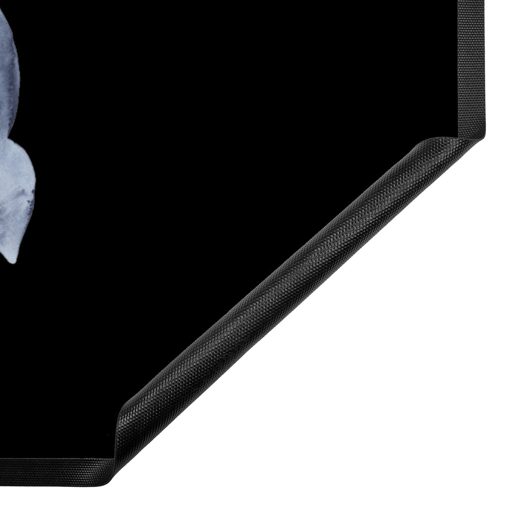 Fußmatte Walfisch & Thunfisch Wal, Wahl, Tunfisch, Wortwitz lustig, Spruch lustig, Flachwitz, Witz, Spruch des Tages, Flachwitz Geschenk   Türvorleger, Schmutzmatte, Fußabtreter, Matte, Schmutzfänger, Fußabstreifer, Schmutzfangmatte, Türmatte, Motivfußmatte,  Haustürmatte, Vorleger  süße Tiermotive, gute Laune, lustige Sprüche, Tiere