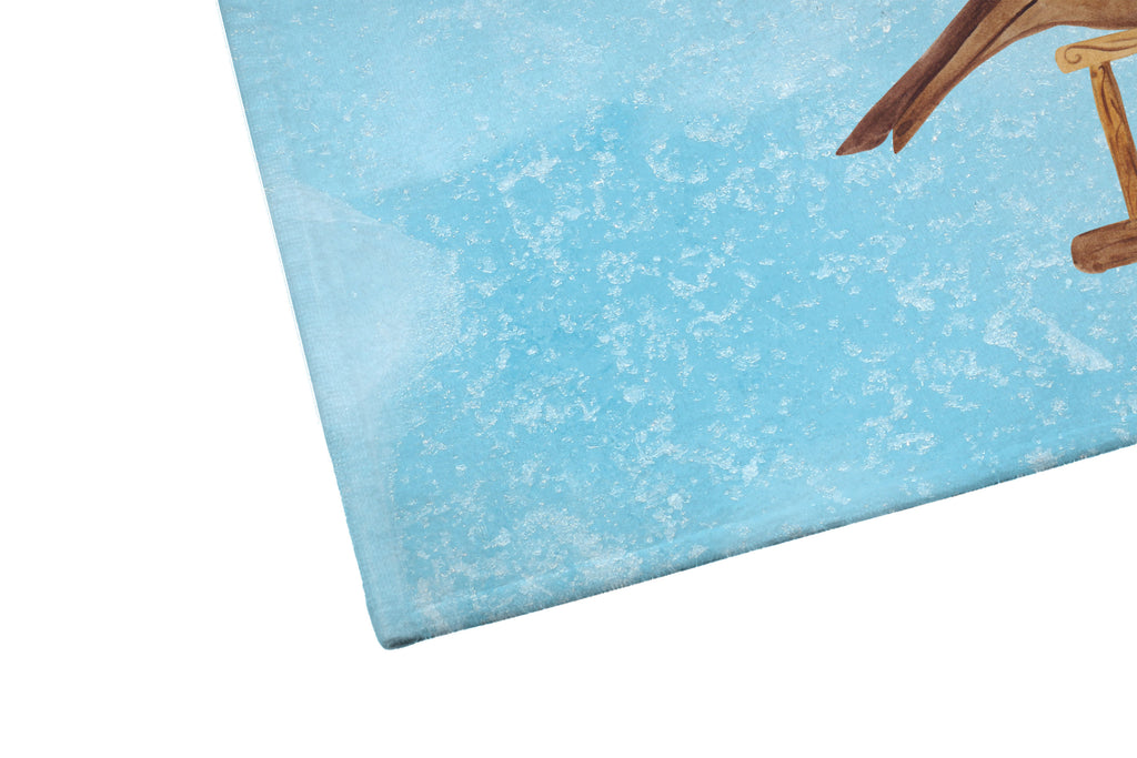 50 x 100 Handtuch Rotkehlchen Schlitten Handtuch, Badehandtuch, Badezimmer, Handtücher, groß, Kinder, Baby, Winter, Weihnachten, Weihnachtsdeko, Nikolaus, Advent, Heiligabend, Wintermotiv, Schlitten, Vogel