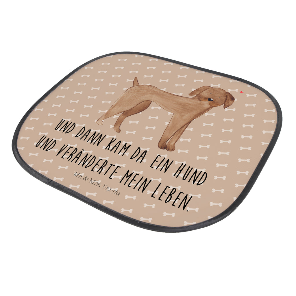 Auto Sonnenschutz Hund Dogge Auto Sonnenschutz, Sonnenschutz Baby, Sonnenschutz Kinder, Sonne, Sonnenblende, Sonnenschutzfolie, Sonne Auto, Hund, Hundemotiv, Haustier, Hunderasse, Tierliebhaber, Hundebesitzer, Sprüche, Hunde, Dogge, Deutsche Dogge, Great Dane