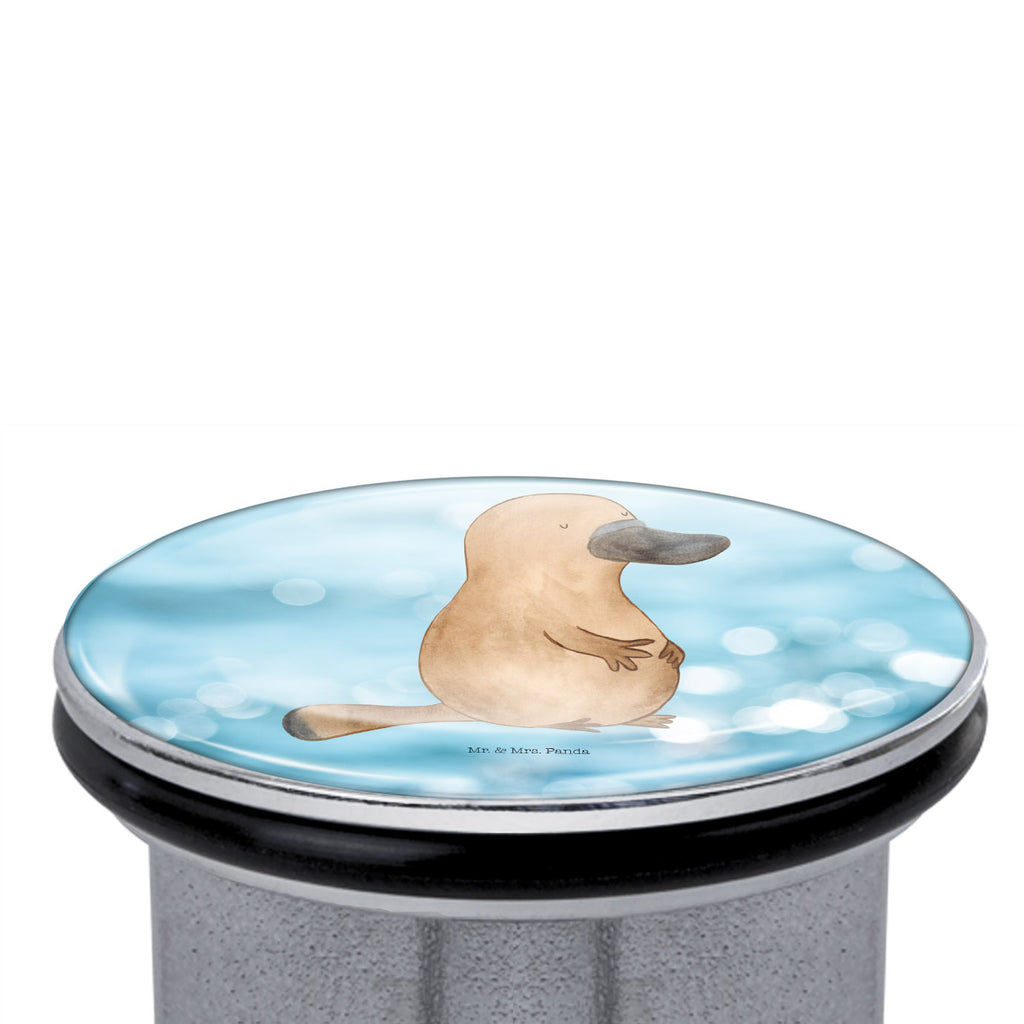 Waschbecken Stöpsel Schnabeltier mutig Abflussstöpsel, Stöpsel, Waschbecken, Ablaufgarnitur, Waschbecken Stopfen, Meerestiere, Meer, Urlaub, Schnabeltier, Mut, mutig, Lebensweisheit, Schnabeltiere, Motivation, Training, Büro, Arbeit, Neuanfang, Neustart, Weltreise, Raodtrip