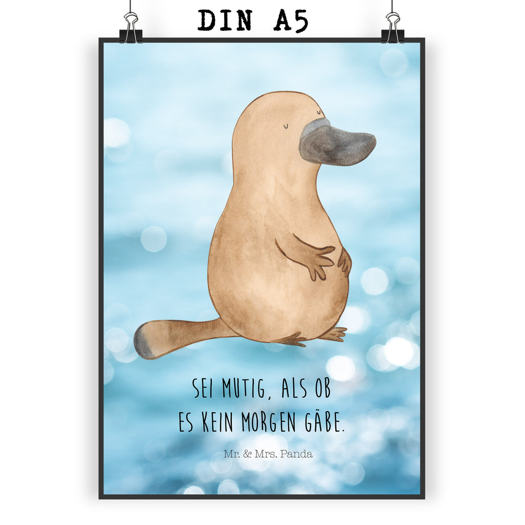 Poster Schnabeltier mutig Poster, Wandposter, Bild, Wanddeko, Küchenposter, Kinderposter, Wanddeko Bild, Raumdekoration, Wanddekoration, Handgemaltes Poster, Mr. & Mrs. Panda Poster, Designposter, Kunstdruck, Posterdruck, Meerestiere, Meer, Urlaub, Schnabeltier, Mut, mutig, Lebensweisheit, Schnabeltiere, Motivation, Training, Büro, Arbeit, Neuanfang, Neustart, Weltreise, Raodtrip