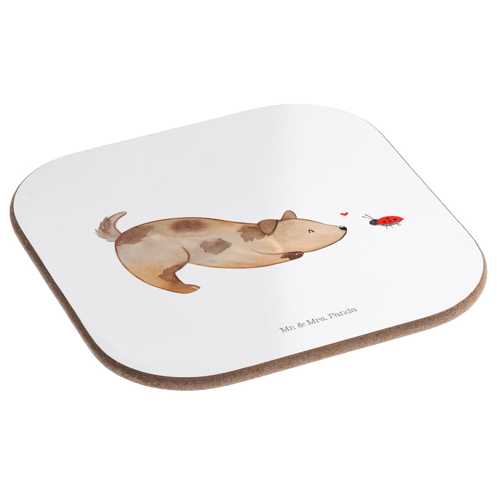 Quadratische Untersetzer Hund Marienkäfer Bierdeckel, Glasuntersetzer, Untersetzer Gläser, Getränkeuntersetzer, Hund, Hundemotiv, Haustier, Hunderasse, Tierliebhaber, Hundebesitzer, Sprüche, Hunde, Hundespruch, Marienkäfer, Mischling, Mischlinghund