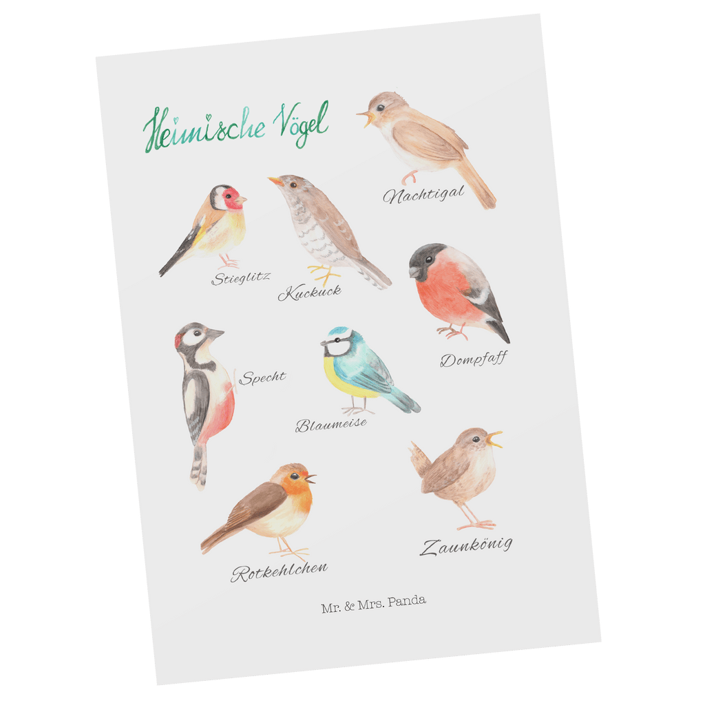 5151b970d2ba5a5546bea1295ba8dccd