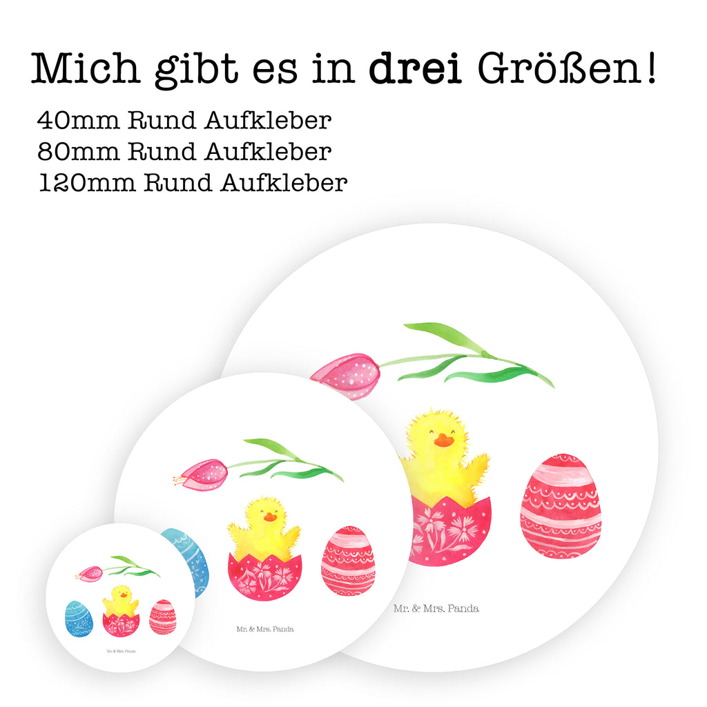 80mm Rund Aufkleber Küken geschlüpft Sticker, Aufkleber, Etikett, Ostern, Osterhase, Ostergeschenke, Osternest, Osterdeko, Geschenk zu Ostern, Küken, Osterei, Ostereier, Ei, Frühlingsgefühle, Freude, Grüße, liebe Grüße, Frohe Ostern, Ostergrüße