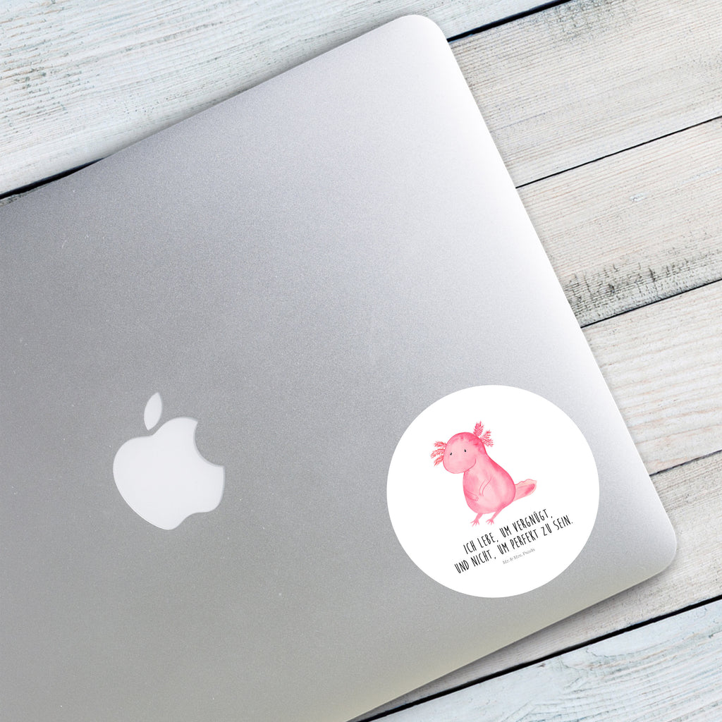 80mm Rund Aufkleber Axolotl Sticker, Aufkleber, Etikett, Axolotl, Molch, Axolot, vergnügt, fröhlich, zufrieden, Lebensstil, Weisheit, Lebensweisheit, Liebe, Freundin