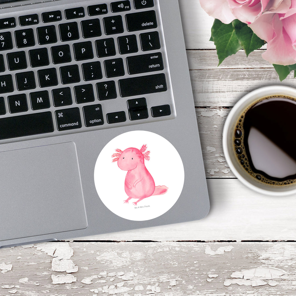 80mm Rund Aufkleber Axolotl Sticker, Aufkleber, Etikett, Axolotl, Molch, Axolot, vergnügt, fröhlich, zufrieden, Lebensstil, Weisheit, Lebensweisheit, Liebe, Freundin