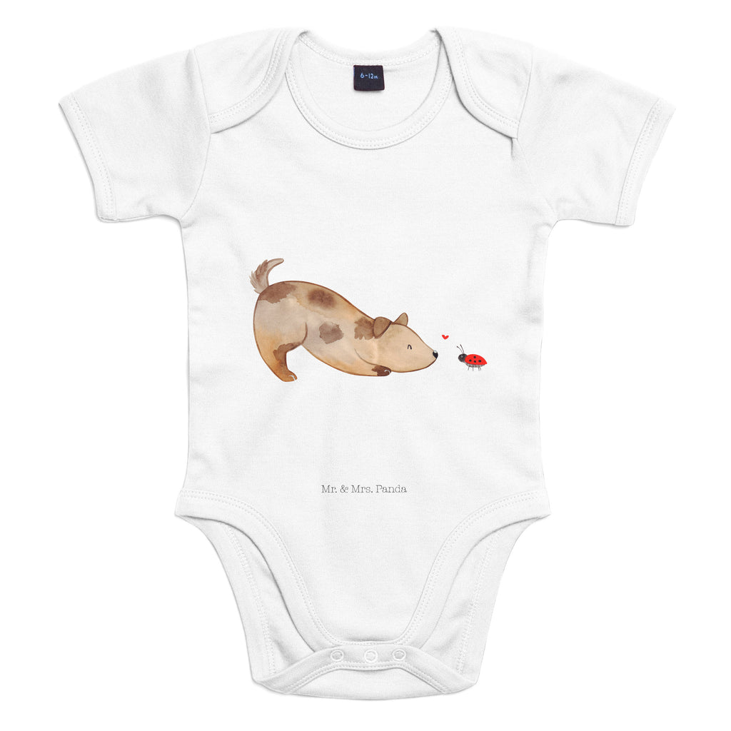 Organic Baby Body Hund Marienkäfer Babykleidung, Babystrampler, Strampler, Wickelbody, Baby Erstausstattung, Junge, Mädchen, Hund, Hundemotiv, Haustier, Hunderasse, Tierliebhaber, Hundebesitzer, Sprüche, Hunde, Hundespruch, Marienkäfer, Mischling, Mischlinghund