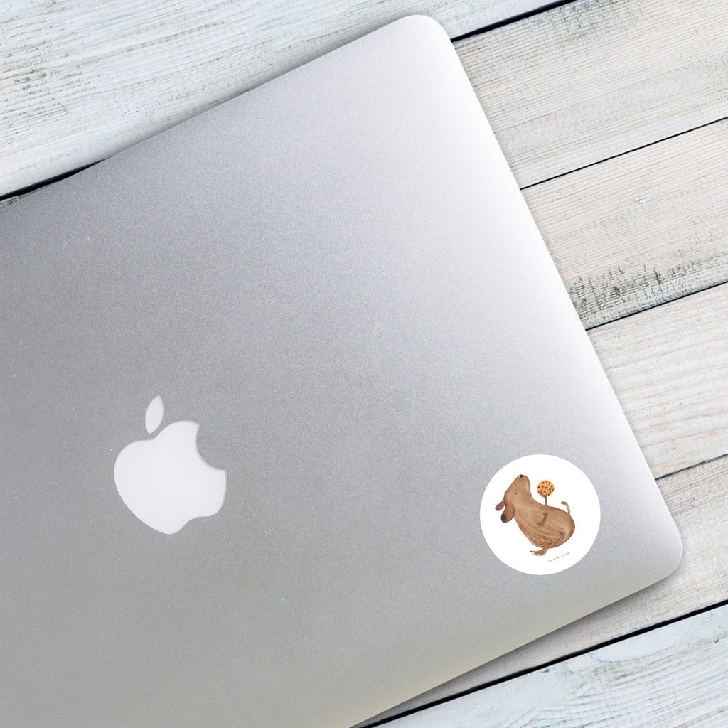 120mm Rund Aufkleber Hund Keks Sticker, Aufkleber, Etikett, Kinder, rund, Hund, Hundemotiv, Haustier, Hunderasse, Tierliebhaber, Hundebesitzer, Sprüche, Hundekekse, Leckerli, Hundeleckerli, Hundesnacks
