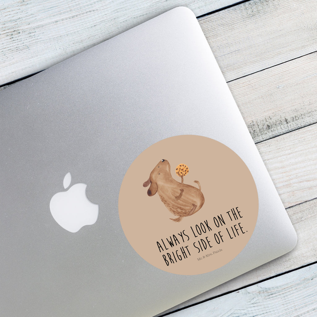 120mm Rund Aufkleber Hund Keks Sticker, Aufkleber, Etikett, Kinder, rund, Hund, Hundemotiv, Haustier, Hunderasse, Tierliebhaber, Hundebesitzer, Sprüche, Hundekekse, Leckerli, Hundeleckerli, Hundesnacks