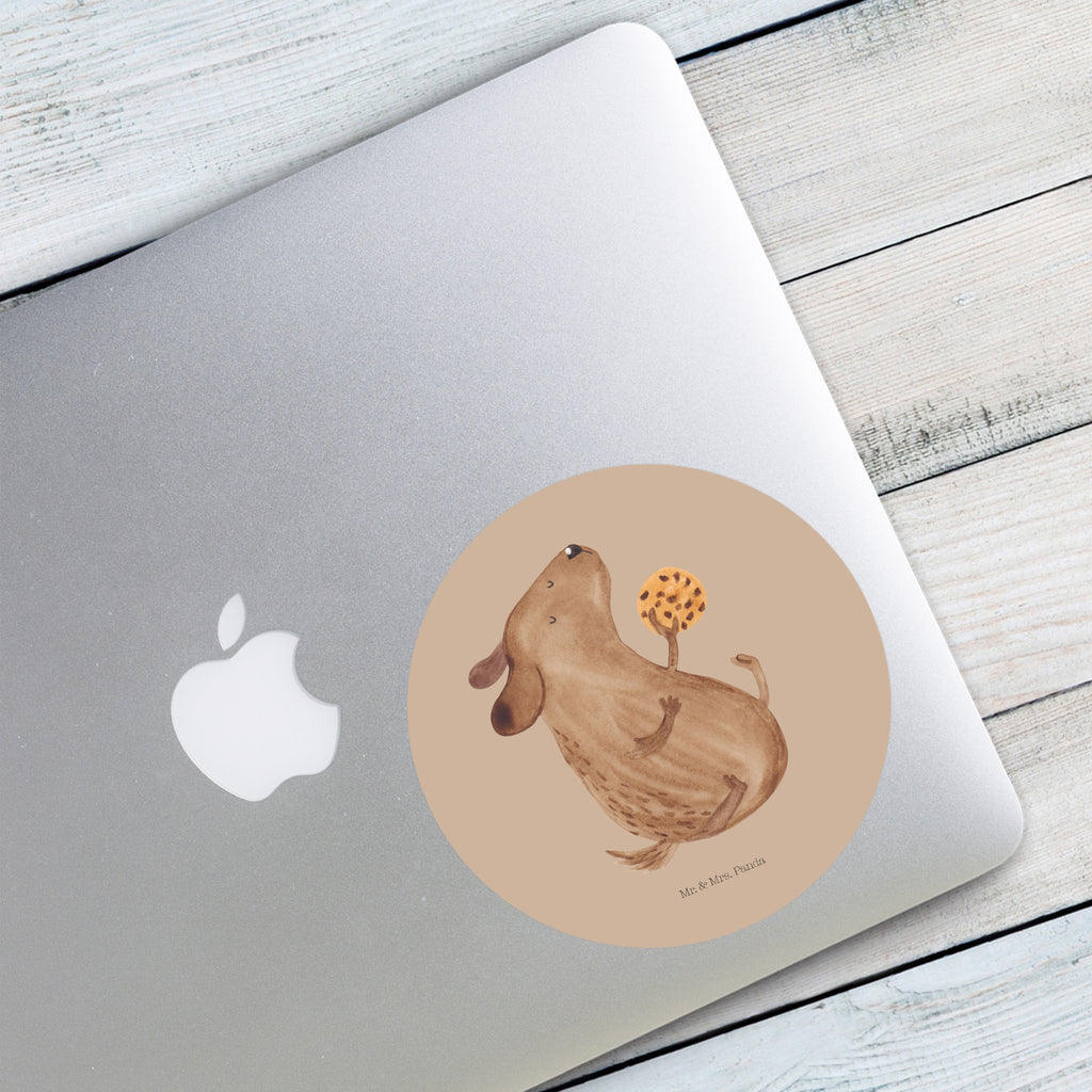 120mm Rund Aufkleber Hund Keks Sticker, Aufkleber, Etikett, Kinder, rund, Hund, Hundemotiv, Haustier, Hunderasse, Tierliebhaber, Hundebesitzer, Sprüche, Hundekekse, Leckerli, Hundeleckerli, Hundesnacks