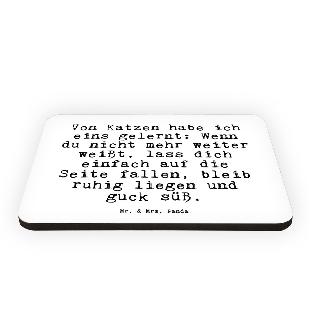 Magnet Sprüche und Zitate Von Katzen habe ich eins gelernt: Wenn du nicht mehr weiter weißt, lass dich einfach auf die Seite fallen, bleib ruhig liegen und guck süß. Kühlschrankmagnet, Pinnwandmagnet, Souvenir Magnet, Motivmagnete, Dekomagnet, Whiteboard Magnet, Notiz Magnet, Kühlschrank Dekoration, Spruch, Sprüche, lustig, Weisheiten, Zitate, Spruch Sprüche Weisheiten Zitate Lustig Weisheit Worte