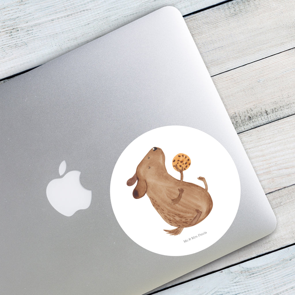 120mm Rund Aufkleber Hund Keks Sticker, Aufkleber, Etikett, Kinder, rund, Hund, Hundemotiv, Haustier, Hunderasse, Tierliebhaber, Hundebesitzer, Sprüche, Hundekekse, Leckerli, Hundeleckerli, Hundesnacks