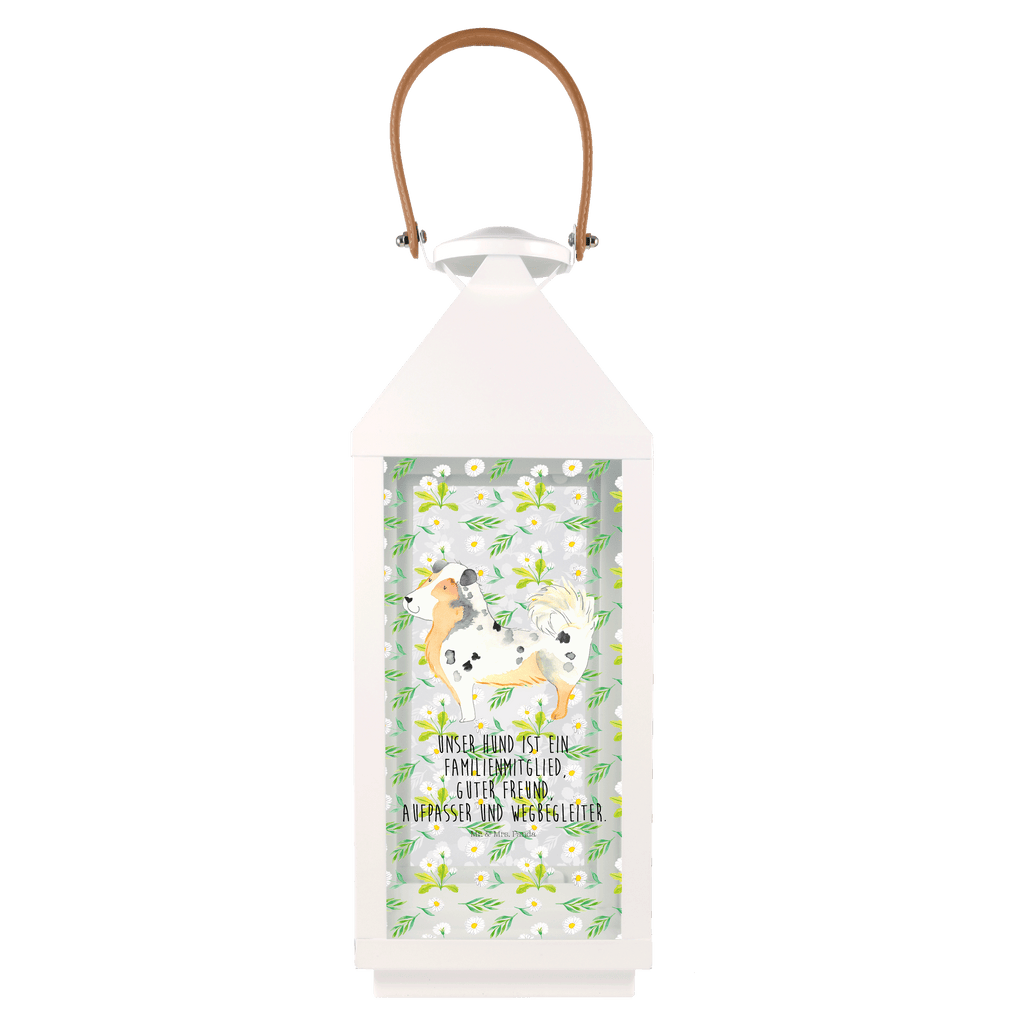 Deko Laterne Australien Shepherd Gartenlampe, Gartenleuchte, Gartendekoration, Gartenlicht, Laterne  kleine Laternen, XXL Laternen, Laterne groß, Hund, Hundemotiv, Haustier, Hunderasse, Tierliebhaber, Hundebesitzer, Sprüche, Australien Shepherd, Shepherd, Hundeliebe, Familienhund, Spruch