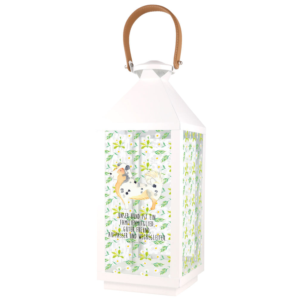 Deko Laterne Australien Shepherd Gartenlampe, Gartenleuchte, Gartendekoration, Gartenlicht, Laterne  kleine Laternen, XXL Laternen, Laterne groß, Hund, Hundemotiv, Haustier, Hunderasse, Tierliebhaber, Hundebesitzer, Sprüche, Australien Shepherd, Shepherd, Hundeliebe, Familienhund, Spruch