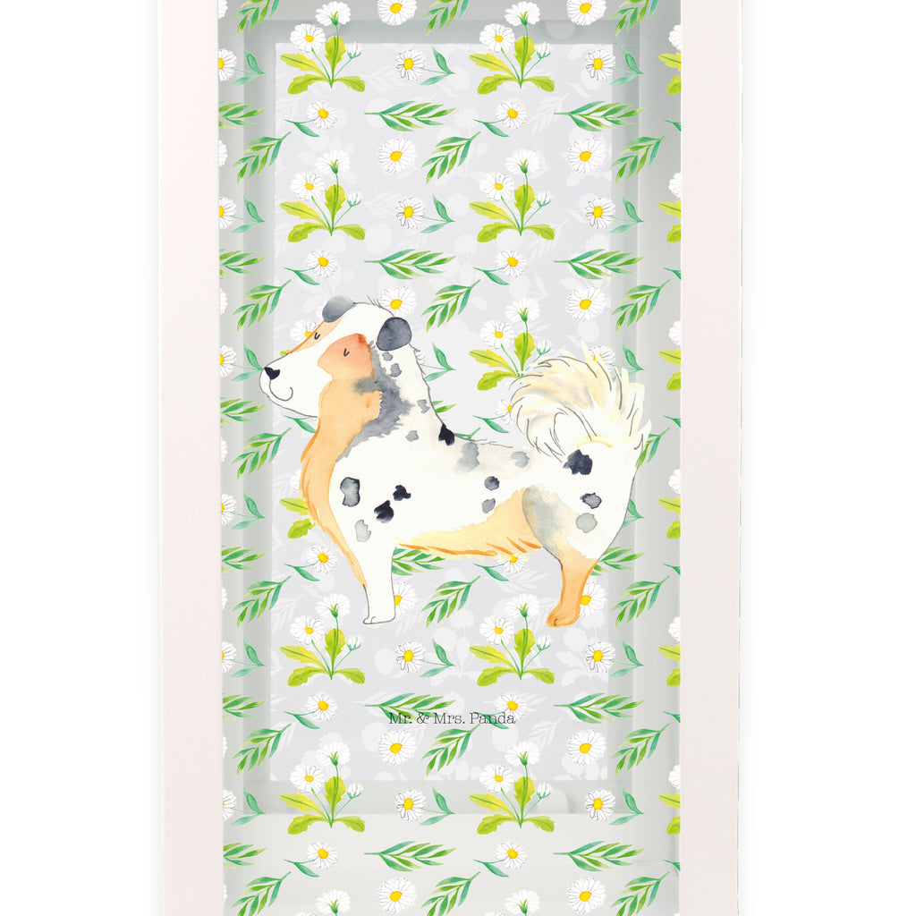 Deko Laterne Australien Shepherd Gartenlampe, Gartenleuchte, Gartendekoration, Gartenlicht, Laterne  kleine Laternen, XXL Laternen, Laterne groß, Hund, Hundemotiv, Haustier, Hunderasse, Tierliebhaber, Hundebesitzer, Sprüche, Australien Shepherd, Shepherd, Hundeliebe, Familienhund, Spruch