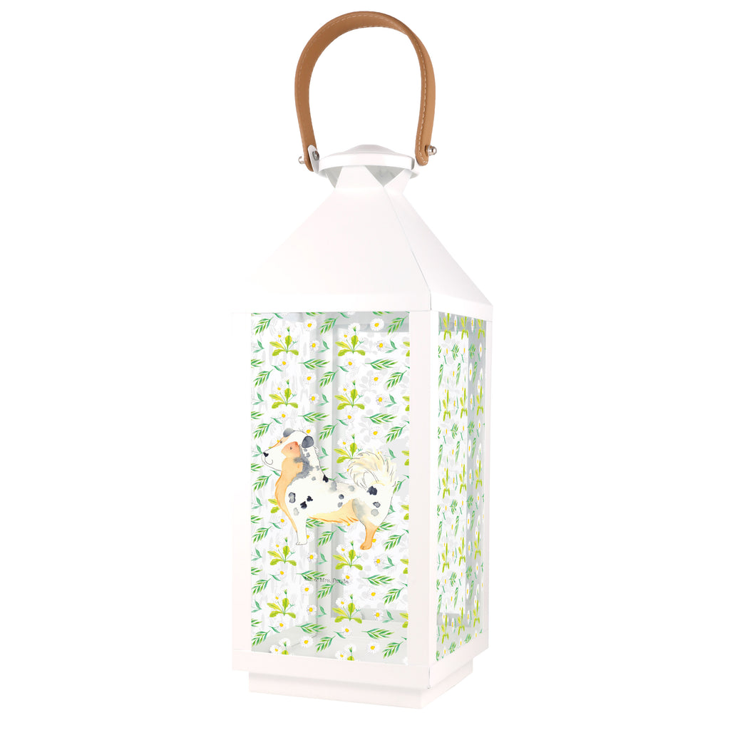 Deko Laterne Australien Shepherd Gartenlampe, Gartenleuchte, Gartendekoration, Gartenlicht, Laterne  kleine Laternen, XXL Laternen, Laterne groß, Hund, Hundemotiv, Haustier, Hunderasse, Tierliebhaber, Hundebesitzer, Sprüche, Australien Shepherd, Shepherd, Hundeliebe, Familienhund, Spruch