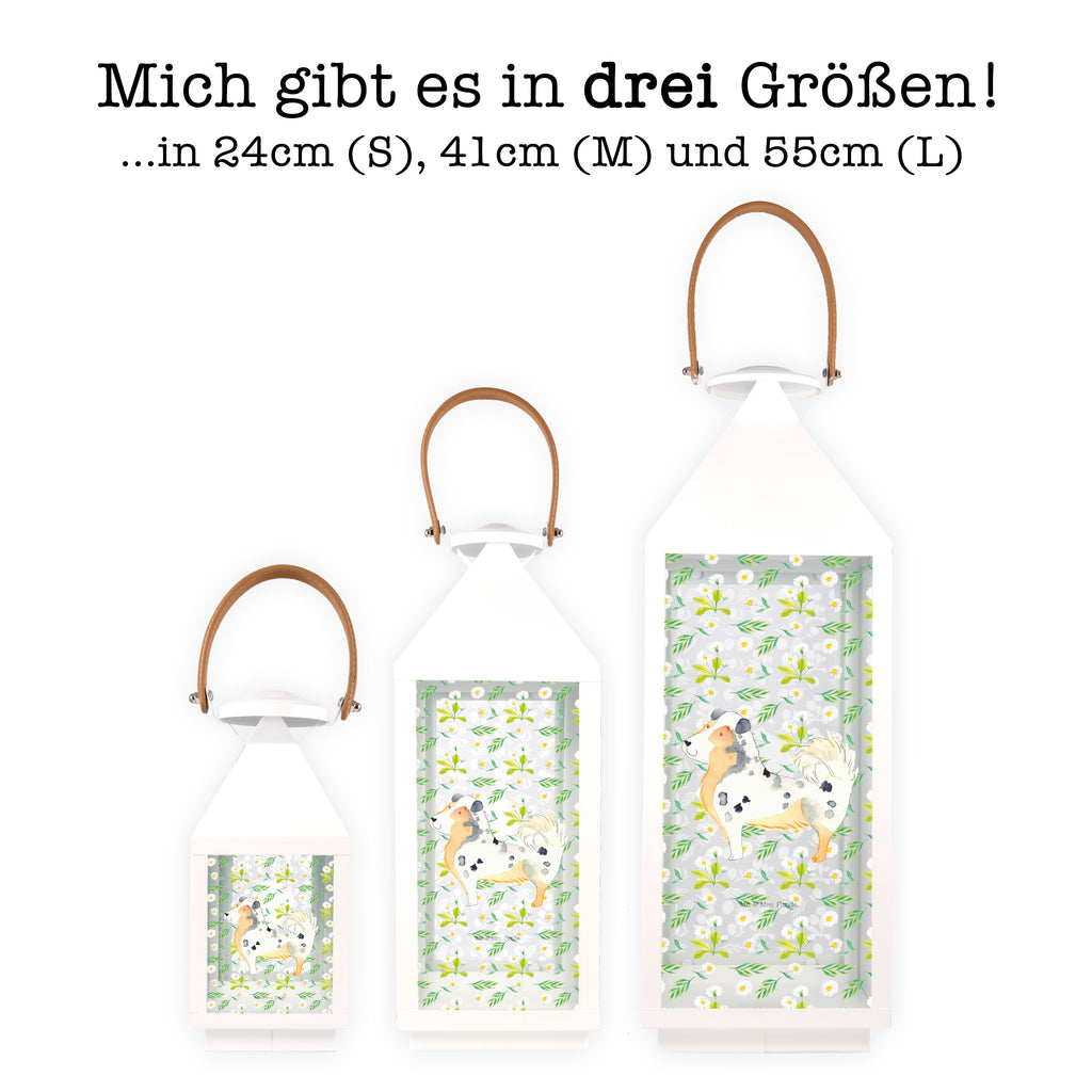 Deko Laterne Australien Shepherd Gartenlampe, Gartenleuchte, Gartendekoration, Gartenlicht, Laterne  kleine Laternen, XXL Laternen, Laterne groß, Hund, Hundemotiv, Haustier, Hunderasse, Tierliebhaber, Hundebesitzer, Sprüche, Australien Shepherd, Shepherd, Hundeliebe, Familienhund, Spruch