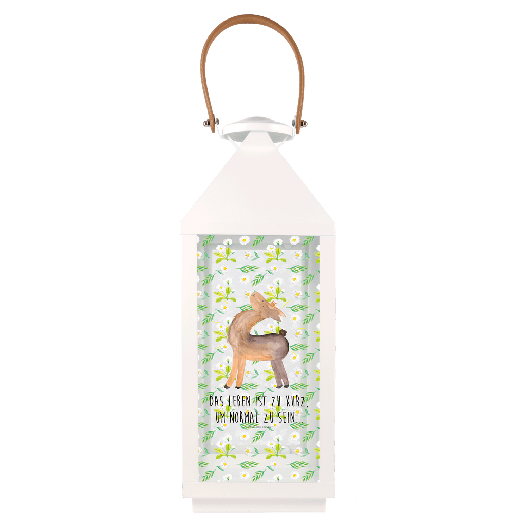 Deko Laterne Lama stolz Gartenlampe, Gartenleuchte, Gartendekoration, Gartenlicht, Laterne  kleine Laternen, XXL Laternen, Laterne groß, Lama, Alpaka, Lamas, Außenseiter, Anders, Neustart, stolz, Hippie, Freundin, Freundinnen, beste Freundin, Kumpel, Familie, Family