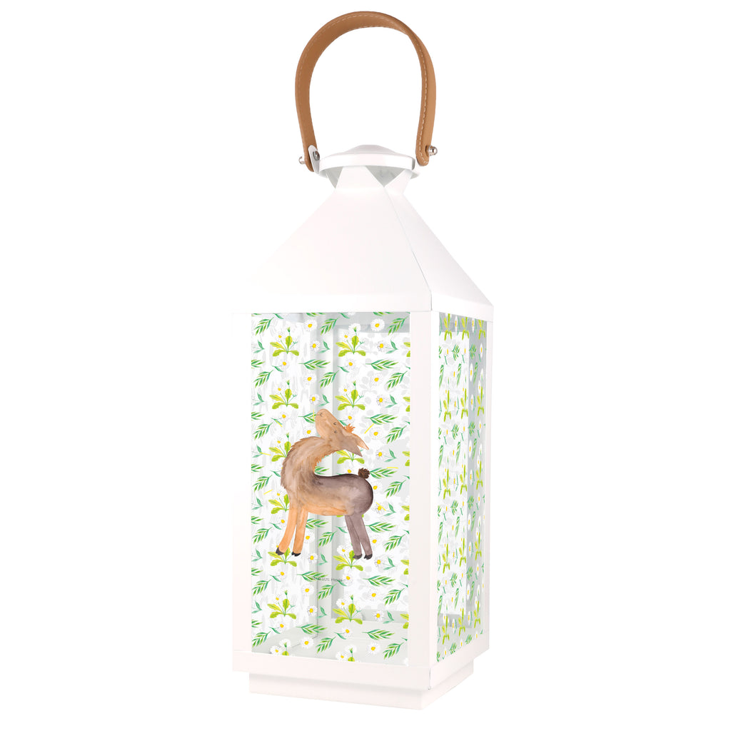 Deko Laterne Lama stolz Gartenlampe, Gartenleuchte, Gartendekoration, Gartenlicht, Laterne  kleine Laternen, XXL Laternen, Laterne groß, Lama, Alpaka, Lamas, Außenseiter, Anders, Neustart, stolz, Hippie, Freundin, Freundinnen, beste Freundin, Kumpel, Familie, Family