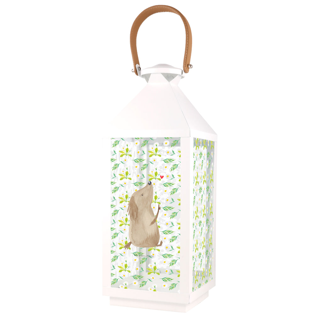 Deko Laterne Hund Liebe Gartenlampe, Gartenleuchte, Gartendekoration, Gartenlicht, Laterne  kleine Laternen, XXL Laternen, Laterne groß, Hund, Hundemotiv, Haustier, Hunderasse, Tierliebhaber, Hundebesitzer, Sprüche, Liebe, Hundeglück, Hundeliebe, Hunde, Frauchen