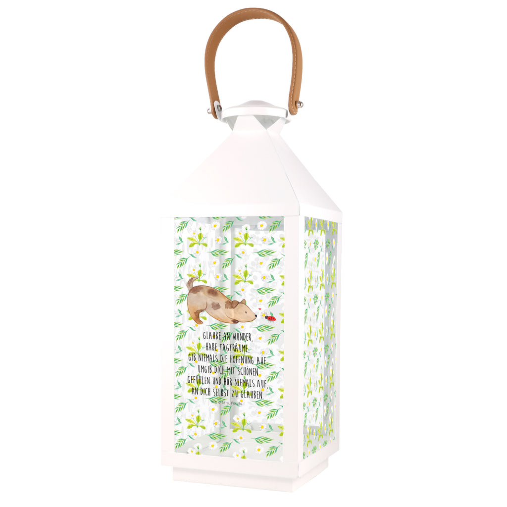 Deko Laterne Hund Marienkäfer Gartenlampe, Gartenleuchte, Gartendekoration, Gartenlicht, Laterne  kleine Laternen, XXL Laternen, Laterne groß, Hund, Hundemotiv, Haustier, Hunderasse, Tierliebhaber, Hundebesitzer, Sprüche, Hunde, Hundespruch, Marienkäfer, Mischling, Mischlinghund