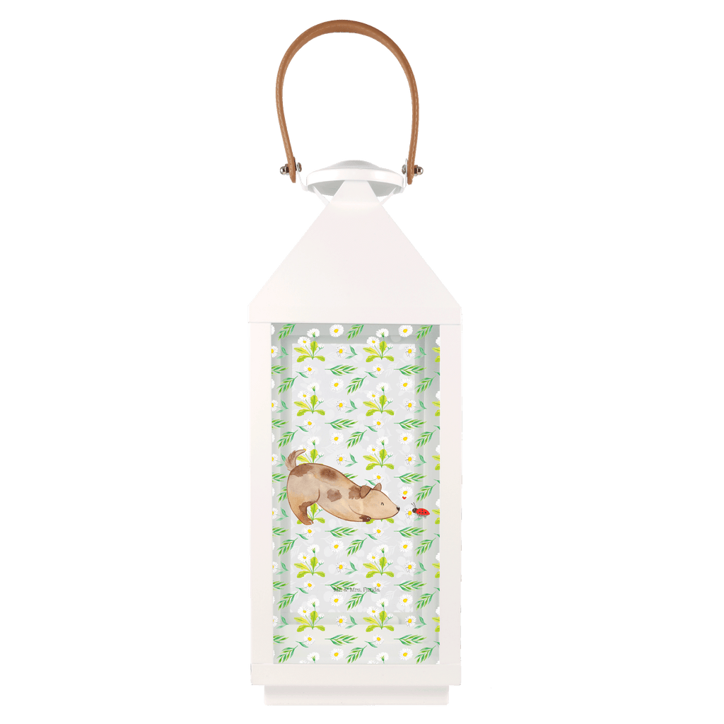 Deko Laterne Hund Marienkäfer Gartenlampe, Gartenleuchte, Gartendekoration, Gartenlicht, Laterne  kleine Laternen, XXL Laternen, Laterne groß, Hund, Hundemotiv, Haustier, Hunderasse, Tierliebhaber, Hundebesitzer, Sprüche, Hunde, Hundespruch, Marienkäfer, Mischling, Mischlinghund