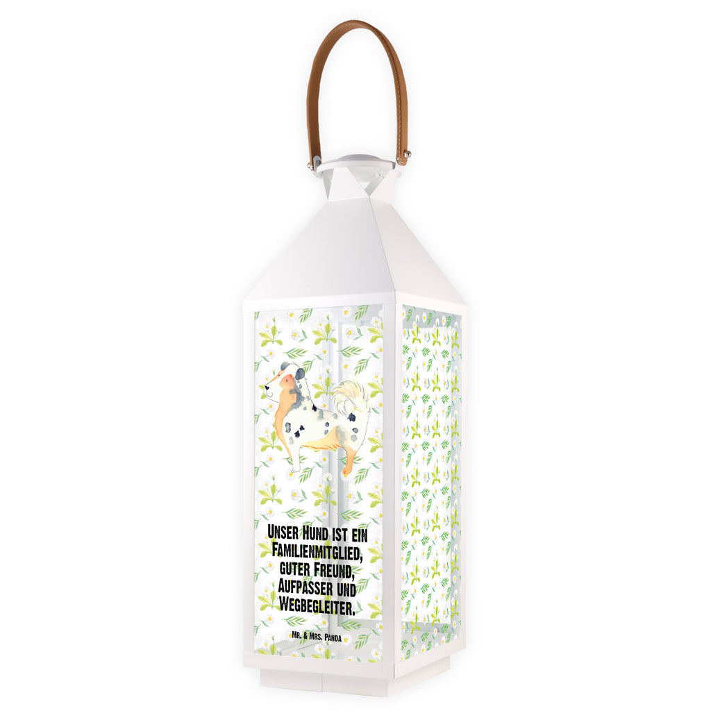 Deko Laterne Australien Shepherd Gartenlampe, Gartenleuchte, Gartendekoration, Gartenlicht, Laterne  kleine Laternen, XXL Laternen, Laterne groß, Hund, Hundemotiv, Haustier, Hunderasse, Tierliebhaber, Hundebesitzer, Sprüche, Australien Shepherd, Shepherd, Hundeliebe, Familienhund, Spruch