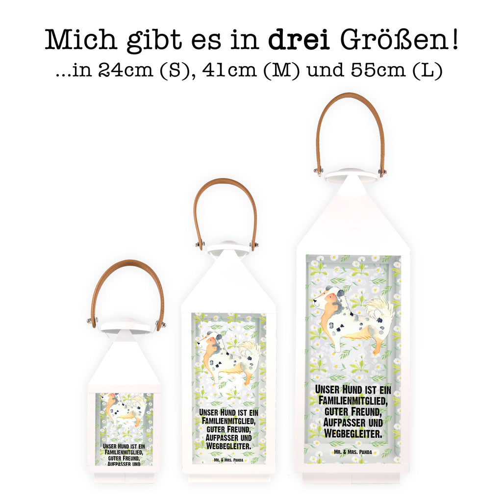 Deko Laterne Australien Shepherd Gartenlampe, Gartenleuchte, Gartendekoration, Gartenlicht, Laterne  kleine Laternen, XXL Laternen, Laterne groß, Hund, Hundemotiv, Haustier, Hunderasse, Tierliebhaber, Hundebesitzer, Sprüche, Australien Shepherd, Shepherd, Hundeliebe, Familienhund, Spruch