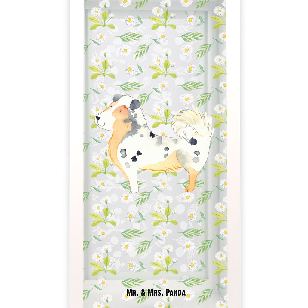 Deko Laterne Australien Shepherd Gartenlampe, Gartenleuchte, Gartendekoration, Gartenlicht, Laterne  kleine Laternen, XXL Laternen, Laterne groß, Hund, Hundemotiv, Haustier, Hunderasse, Tierliebhaber, Hundebesitzer, Sprüche, Australien Shepherd, Shepherd, Hundeliebe, Familienhund, Spruch