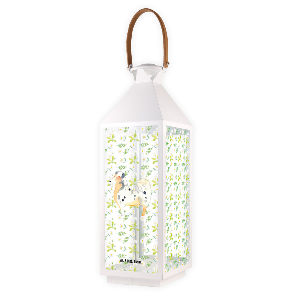 Deko Laterne Australien Shepherd Gartenlampe, Gartenleuchte, Gartendekoration, Gartenlicht, Laterne  kleine Laternen, XXL Laternen, Laterne groß, Hund, Hundemotiv, Haustier, Hunderasse, Tierliebhaber, Hundebesitzer, Sprüche, Australien Shepherd, Shepherd, Hundeliebe, Familienhund, Spruch