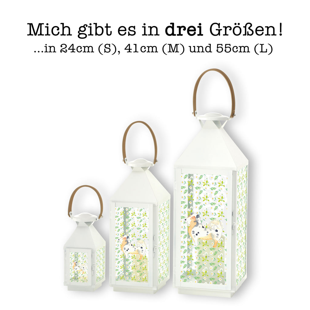 Deko Laterne Australien Shepherd Gartenlampe, Gartenleuchte, Gartendekoration, Gartenlicht, Laterne  kleine Laternen, XXL Laternen, Laterne groß, Hund, Hundemotiv, Haustier, Hunderasse, Tierliebhaber, Hundebesitzer, Sprüche, Australien Shepherd, Shepherd, Hundeliebe, Familienhund, Spruch